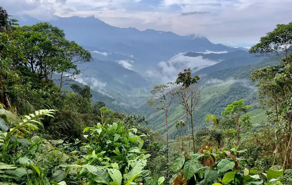 Colombia-Landscape-Mountains-opt