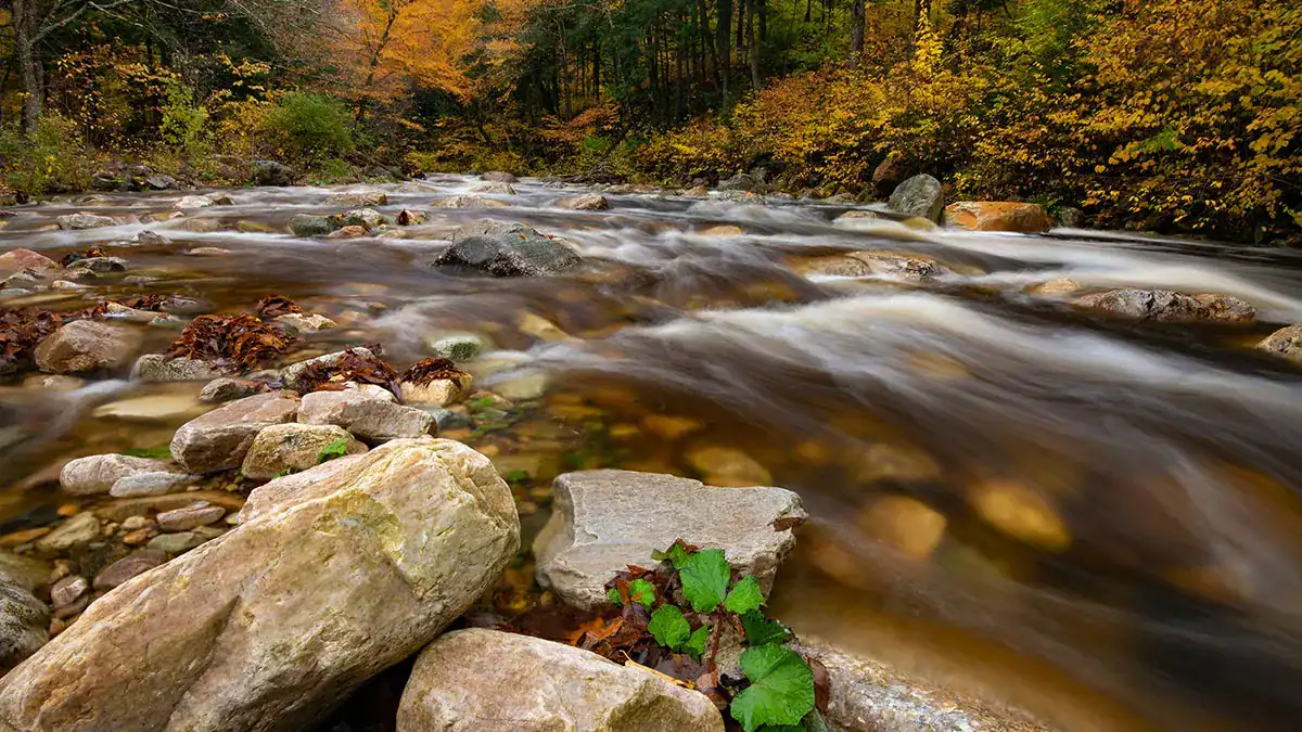 Galleries-Vermont-featured-img