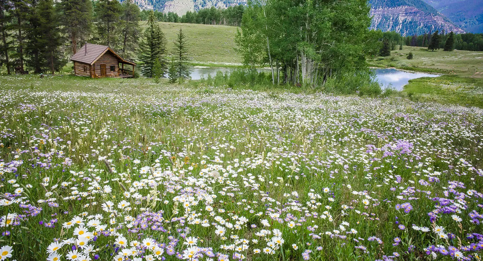 Wildflowers-Cabin-Colorado-opt-0